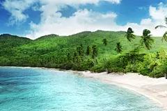 自然风景,海水,沙滩,树,天空背景,高清图片