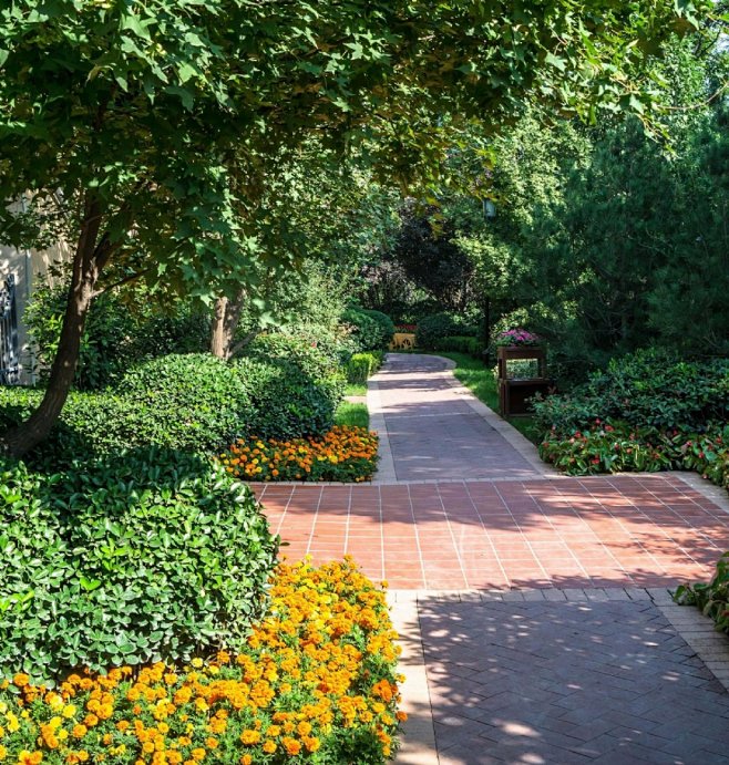 示范区园路植物景观