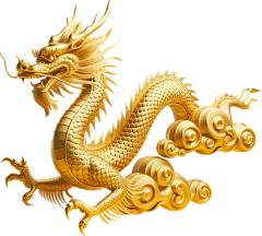 一路飞奔中采集到宠物