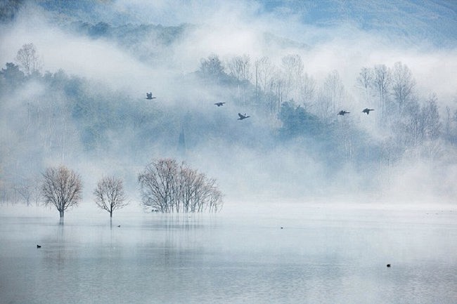 雾气环绕的唯美意境风景图片