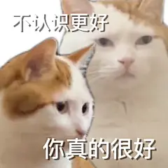 一组小猫（小狗表情包表情包无水印​​​