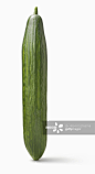 Cucumber upright on white background_创意图片