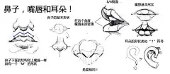 #SAI资源库# 动漫人物的全面绘画参考、五官（脸部、眼睛、鼻子和耳朵）、人体比例、手臂和手掌、进阶阴影描绘参考。值得收藏学习，转需~