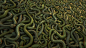 Snakes - Substance Designer , Anna Koroleva : Some experiments in SD. For reference I took African bush viper snake. To make single snake shape I used Curve drawing system by Ilya Kuzmichev.