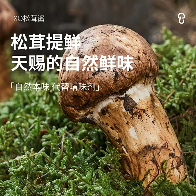 松鲜鲜XO松茸酱200g素食下饭酱菜素版...