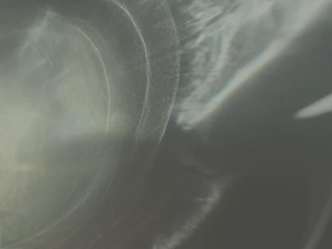 光影内的花瓣采集图片-梦文新之兰