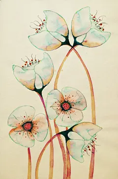 #种草第十四弹#便秘的姑娘和小伙们举起手来。当当当，这款是乳酸菌，可以活动肠胃，促进消化。最关键的是没有什么副作用，吃了不会对肠胃造成什么坏影响。可以便秘改善了，感觉其他一些毛病也得到了改善，尤其是皮肤真的会变好很多。#fine活性乳酸菌益生菌#