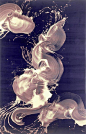 "Single Stroke" Paintings by James Nares (click on link, so many amazing paintings!)