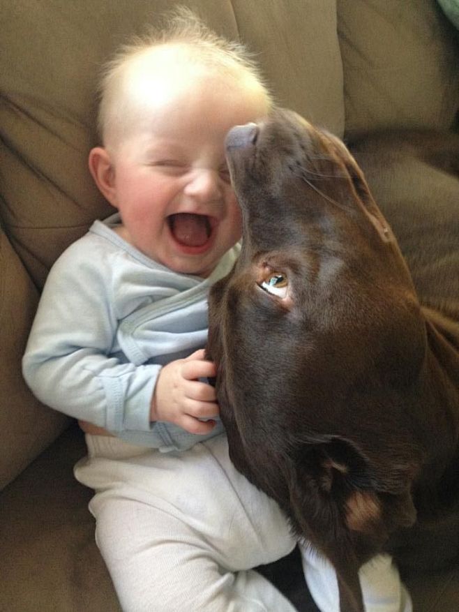 Boy's best friend