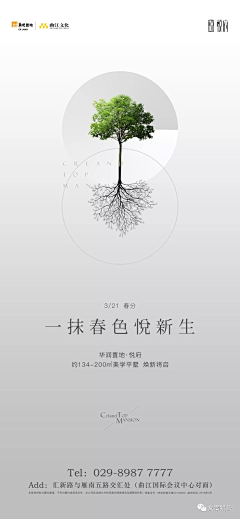 xinghong110采集到x展架