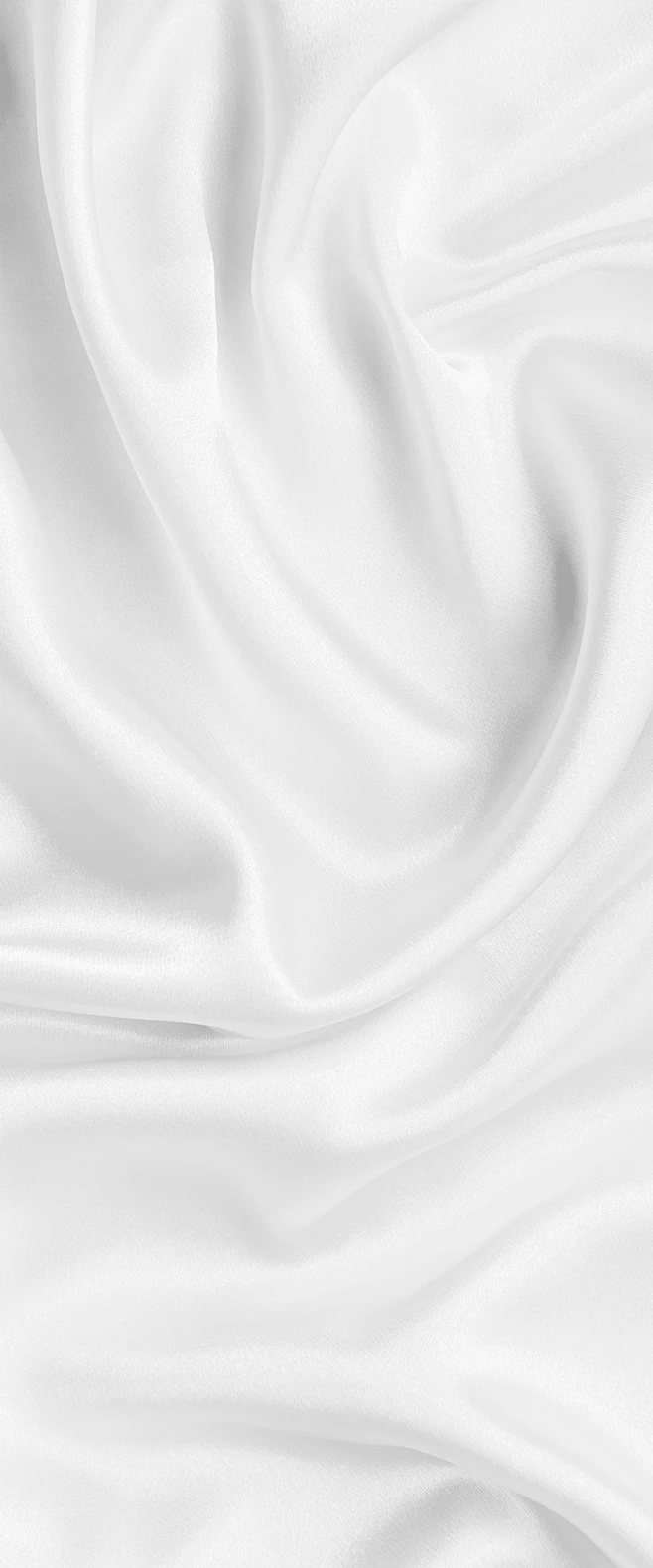 背景-素材内的花瓣采集图片-清静·