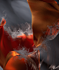 Samsung Fold W25 Wallpaper  Behance