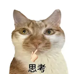 抽象猫猫表情包 - 小红书
