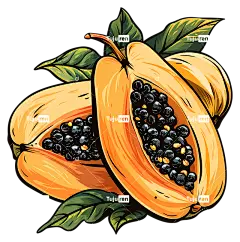 木瓜木瓜果实种子叶-切片成熟木瓜与种子和叶子