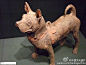东汉陶狗，#海外流失中国文物#，旧金山亚洲艺术博物馆藏。(1280×960)