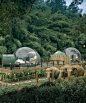 jungle bubbles at luxury resort in thailand let guests sleep alongside elephants