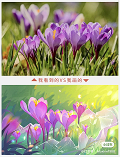 恋上紫菀花采集到插画-颜色