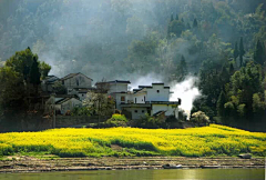 肖继新采集到风景