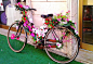 spring bike | Flickr - Photo Sharing!