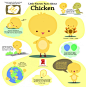 关于鸡的infographic鲜为人知的事实
