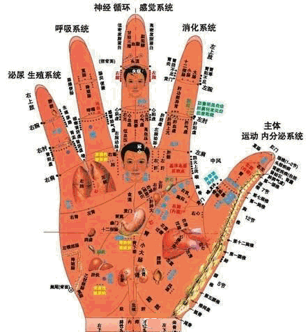 【五指按摩 按按更健康 】按摩【拇指】可...