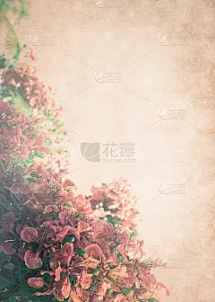 纸上艳丽的花朵