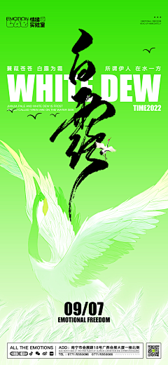 DCGVDF采集到节日