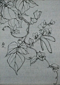 【练习】小陌_森墨竹苑吧_百度贴吧