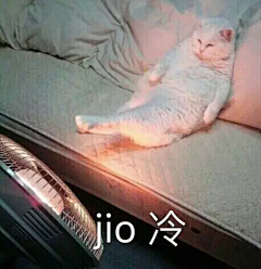 杳·然采集到Emoticon/表情包