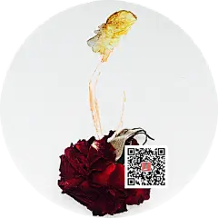 花姑娘（微信公众号：木小辛儿 id：muxiaoxiner）