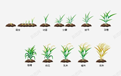 用户j4IYMwYE采集到3