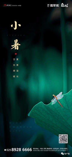 莹莹爱吃葡萄采集到24节气