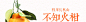 本来生活网-四川长秋山不知火柑