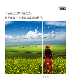 个人资料0采集到文化图