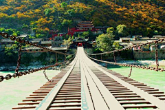 婳-2023采集到双手握无限