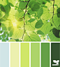 Design Seeds® | find your palette