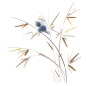 手绘水彩芦苇丛植物透明背景免抠PNG图案 装饰PS设计合成素材 (60)