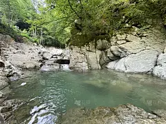 自然的壁纸。高山湖泊，河流或瀑布在丛林，森林或野生动物与清澈的蓝色的水，藤本植物，树木和茂盛的植被