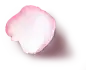 兰蔻焕白精华水