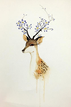 麋鹿-花瓣网|陪你做生活的设计师 | 森系麋鹿_百度图片搜索