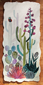 cactus illustration in watercolor by Joslyn Thoresen  www.joslynthoresen.com/: 