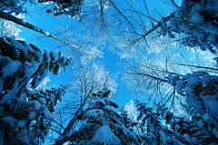 看大图 » 风景精选高清壁纸：美丽地球之冬季雪景（第4辑）