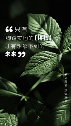 旧巷·安年采集到新模板参考