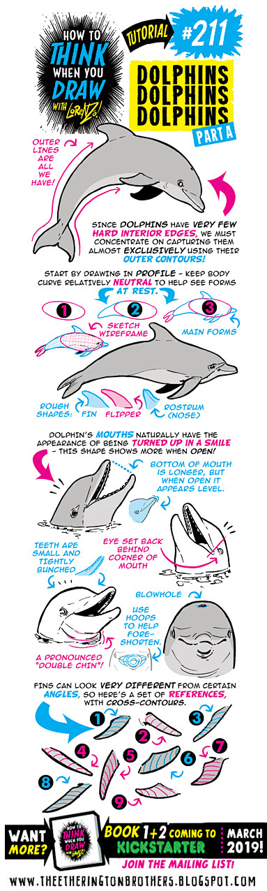 211 如何画海豚 dolphins-1