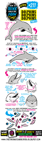 211 如何画海豚 dolphins-1