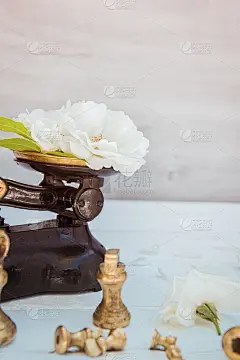 古董古董测量秤重量与新鲜的白茶玫瑰花在白色的木制背景。自然成分。纯粹和简单的概念。垂直的名片。有选择