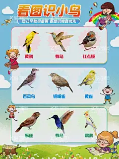 看图识小鸟  - 源文件下载【酷图网】动物大全,动物大全名称,动物哪些名称,动物有哪些,动物名称大图,动物拼音,动物海报,动物展板,动物贴画,动物介绍,动物识字,动物看图识字,少儿识字,看画认字,儿童识字,儿童看图识字,儿童认画,儿童书,少儿认图识字,少儿启蒙画,看图识动物,少儿识字书,少儿识字卡片,少儿识字画,