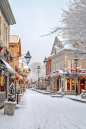 snowcovered-town-square-with-holiday-decorations-created-with-generative-ai_419341-14610.jpg?w=740 (217 KB,740*1110)