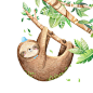 诶呦呦素材小铺   (82)
