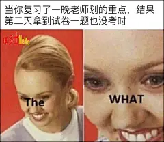 meme（梗图）图片大全-meme（梗图）高清好看的图片--花瓣超级无敌窝窝头的画板